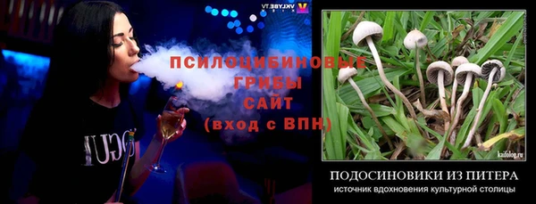 стафф Волоколамск